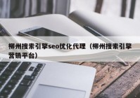 柳州搜索引擎seo优化代理（柳州搜索引擎营销平台）