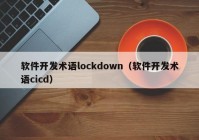 软件开发术语lockdown（软件开发术语cicd）